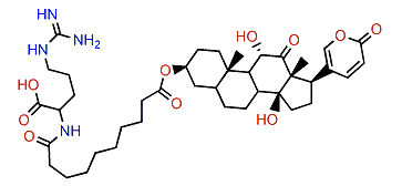 3-(N-Sebacyl argininyl)-arenobufagin